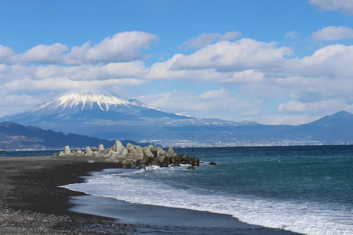 Miho no Matsubara pine grove