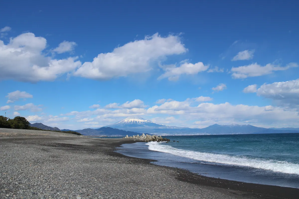Miho no Matsubara pine grove