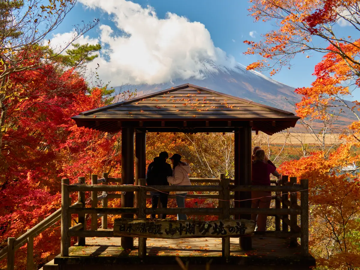 Mt. Fuji views and a wagashi class, guided