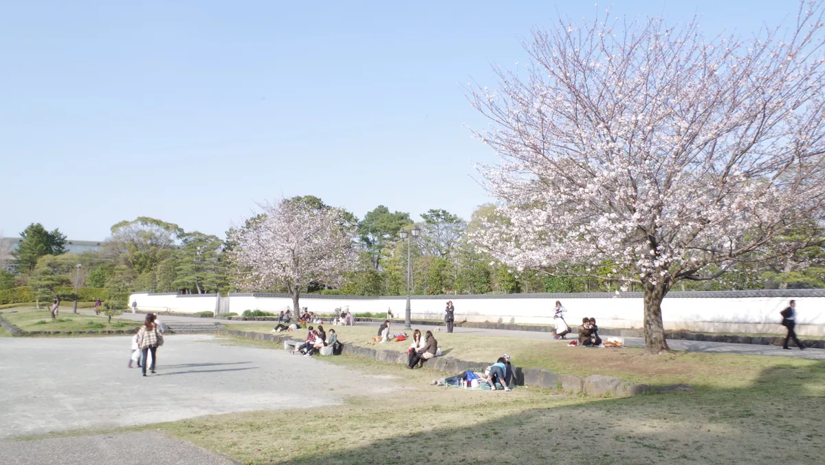 Sunpu Castle & Shizuoka city