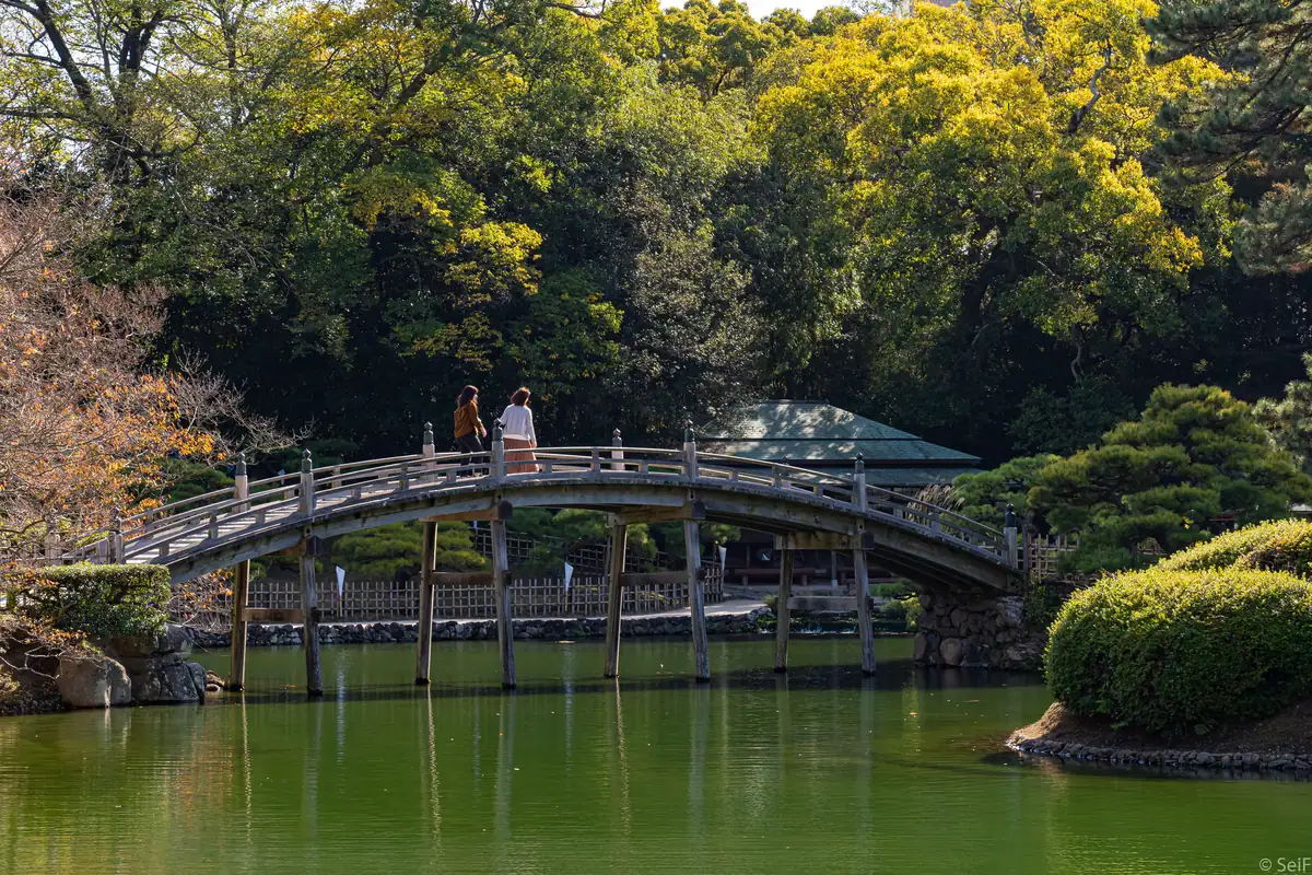 Ritsurin Garden, Kagawa Prefecture; November 2019