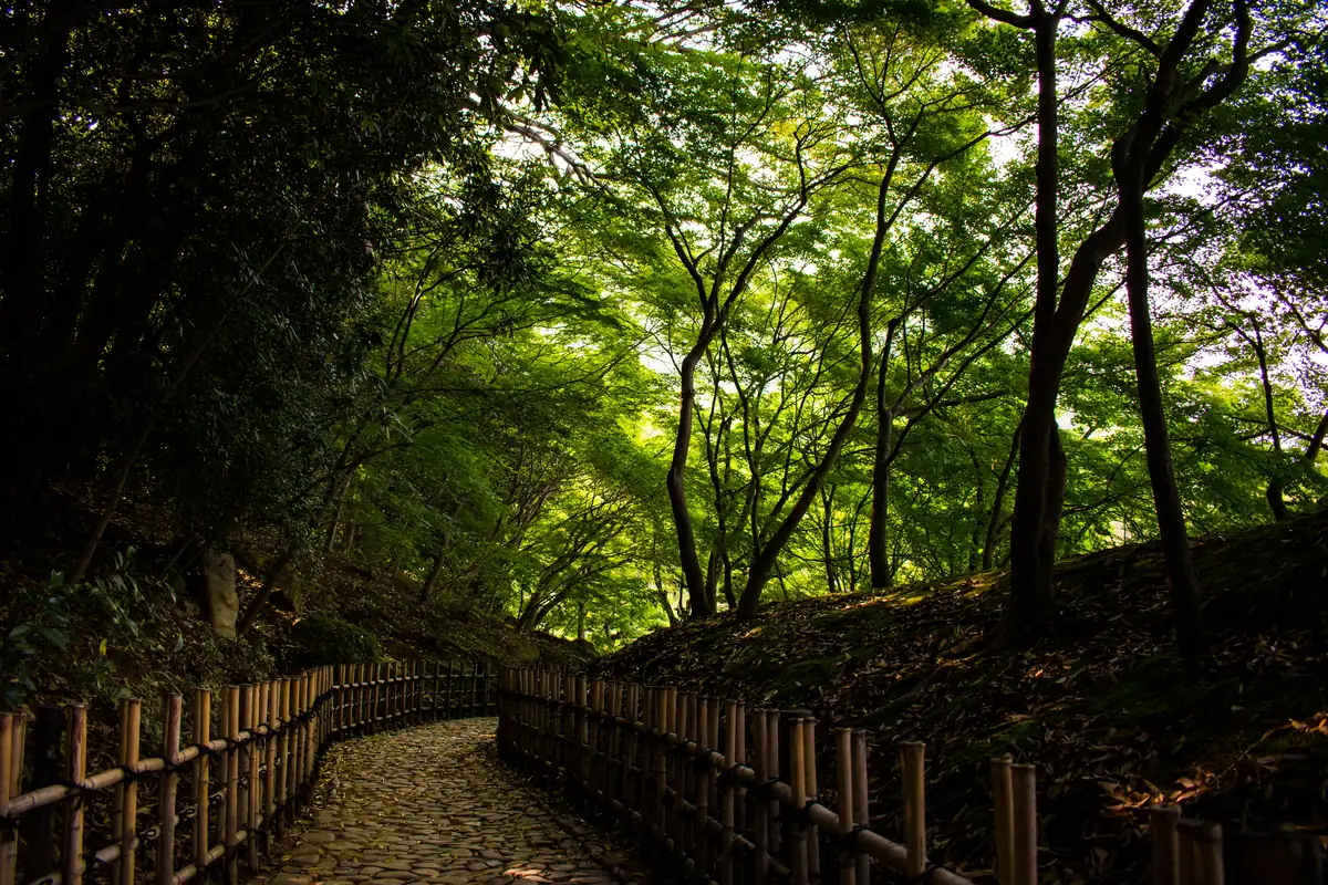 Un chemin du Ritsurin-kōen