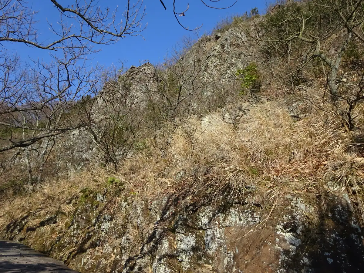 屋島登山道の山側の断崖