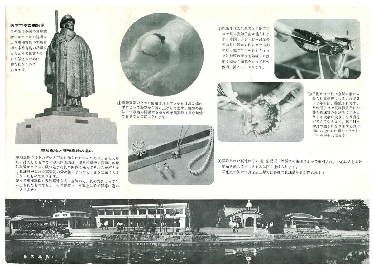 Pamphlet of Mikimoto Pearl Island, Japan, 1959 back side