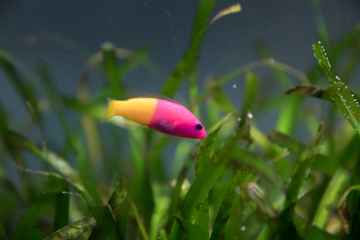 鳥羽水族館