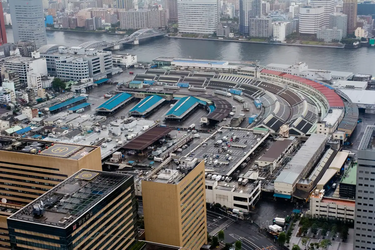 Tsukiji fish market (1)