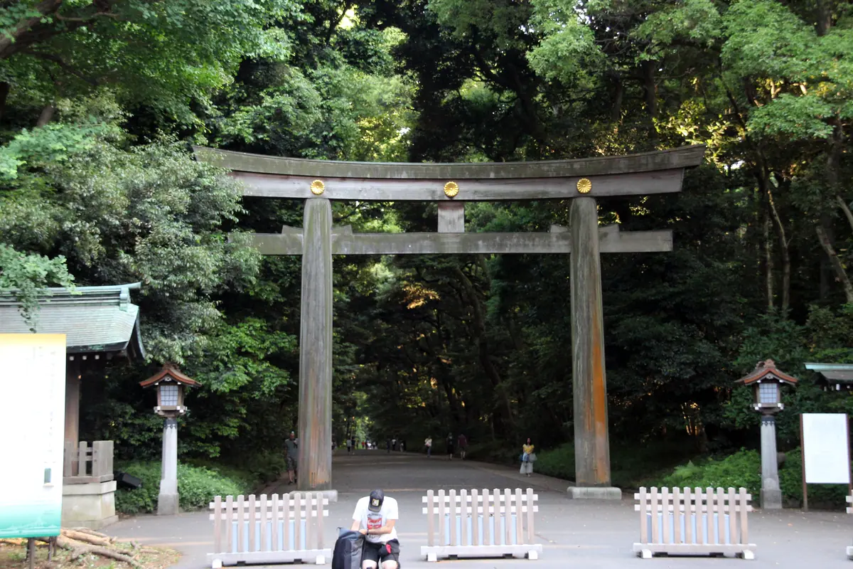 Meiji-jingū grand torii foncé