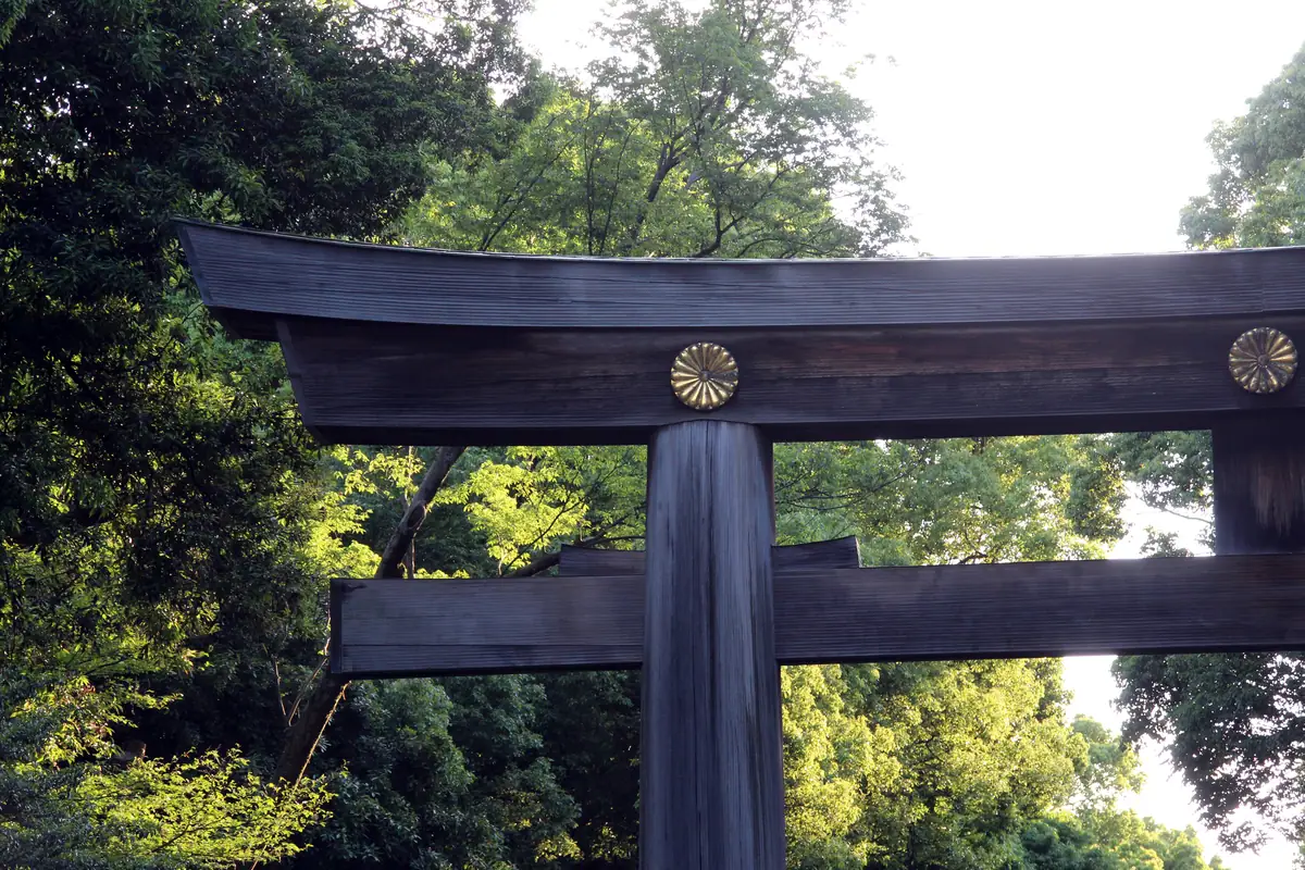 Meiji-jingū baril saké