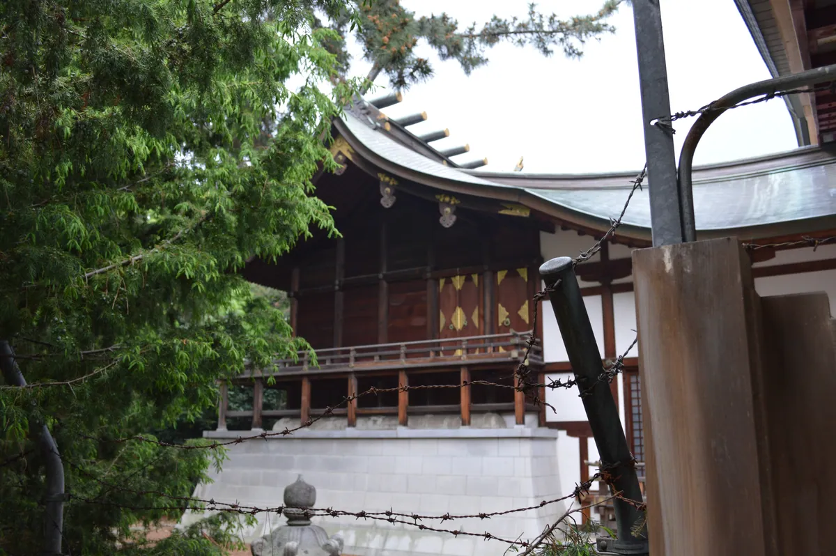 Kehi-jingu honden