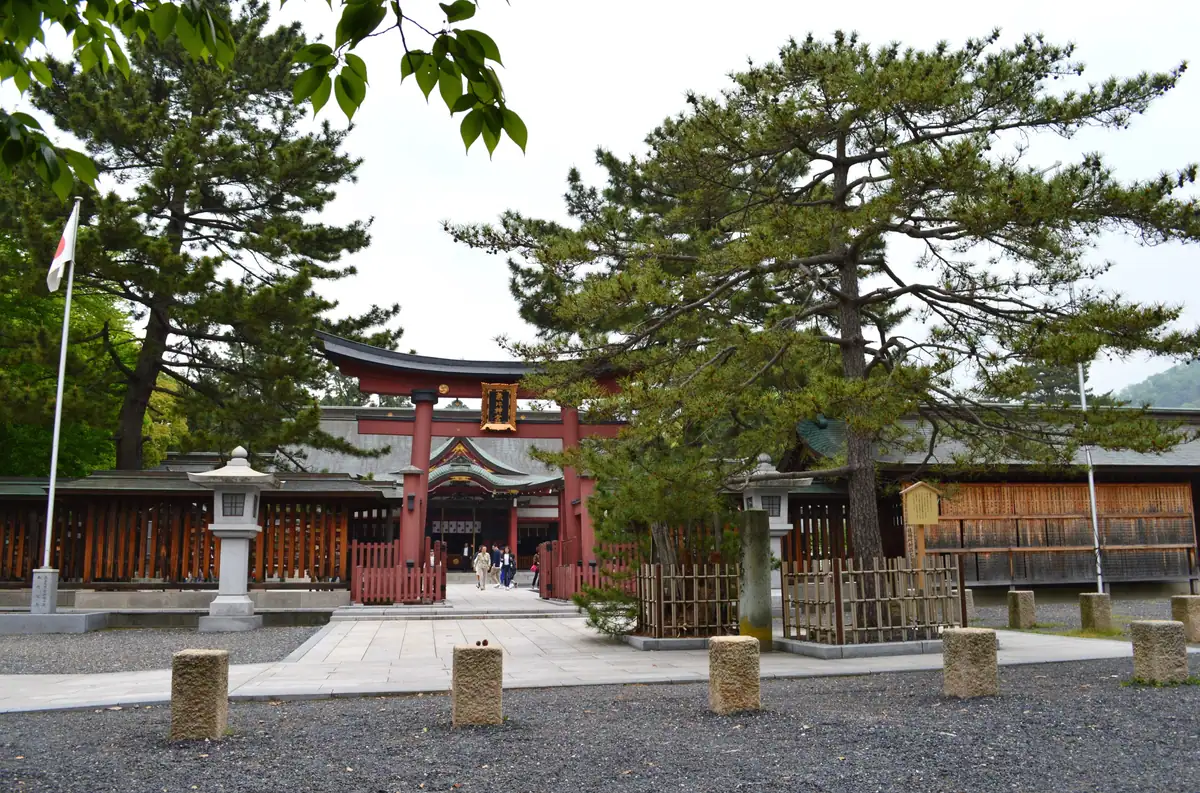 Kehi-jingu hataageno-matsu