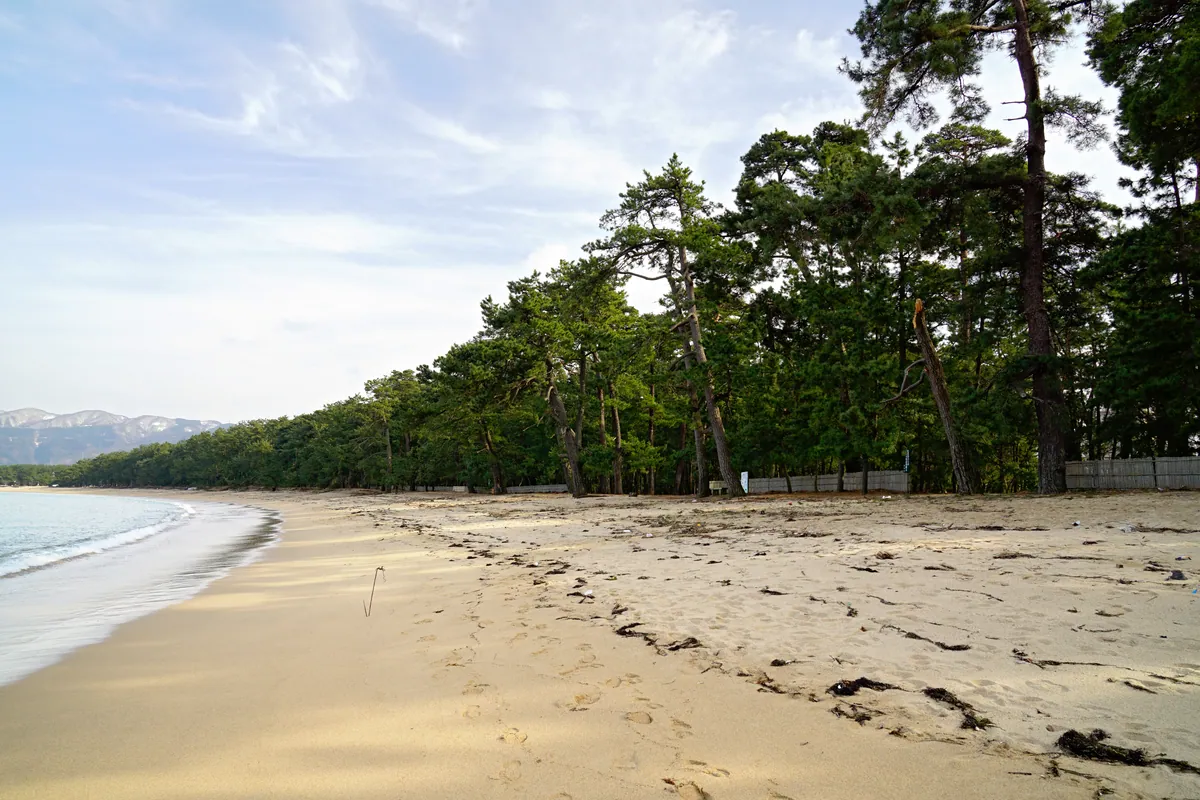 Kehi no Matsubara