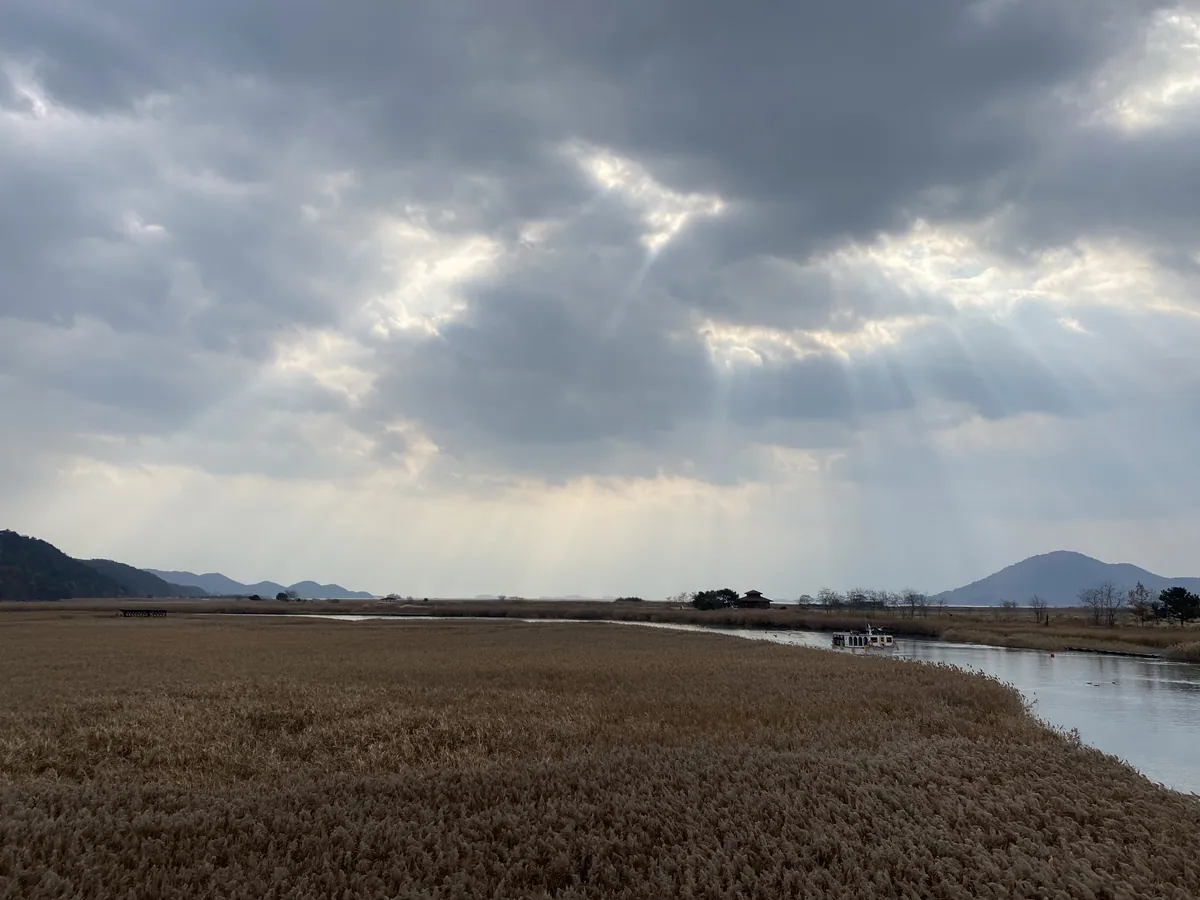 순천만습지