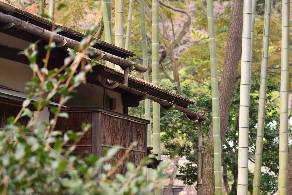 Sankeien Garden autumn