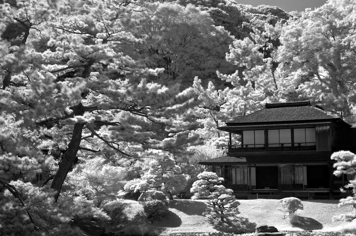 Sankeien garden