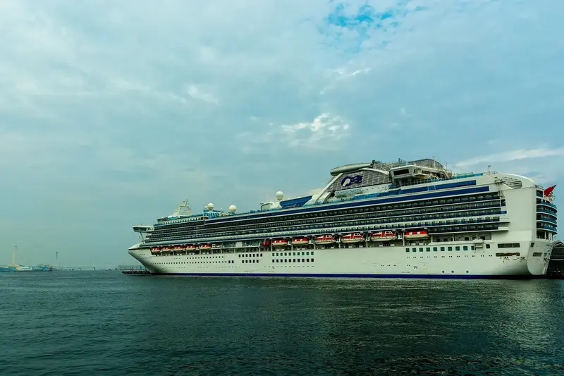 Diamond Princess cruise ship