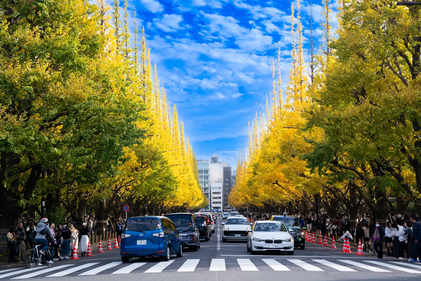 Tokyo turns in the last week