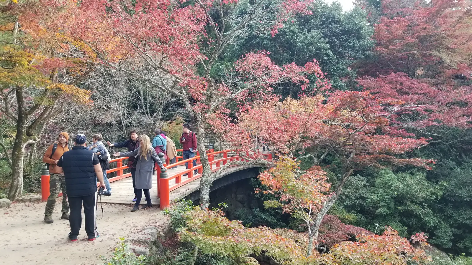 Miyajima maples peak
