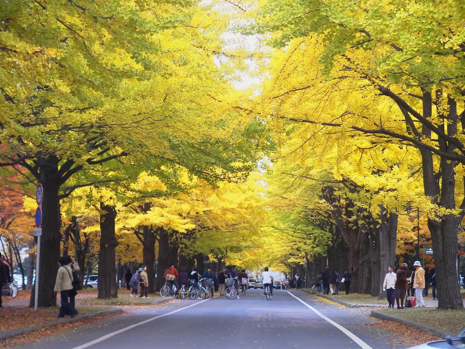 Sapporo: Nov 4, a week late