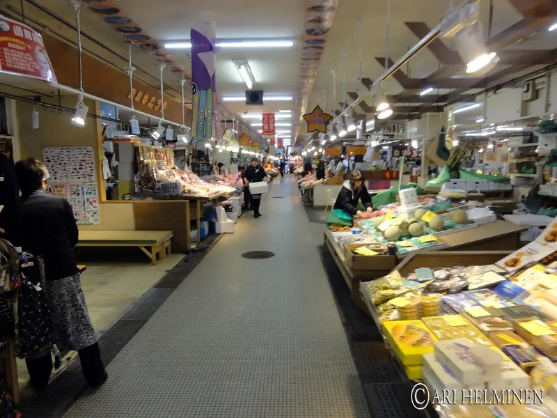 Furukawa Fish Market & the Nokke-don