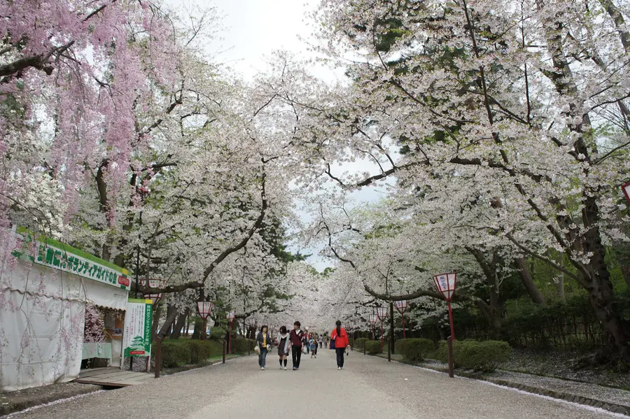 Hirosaki Park during festival season