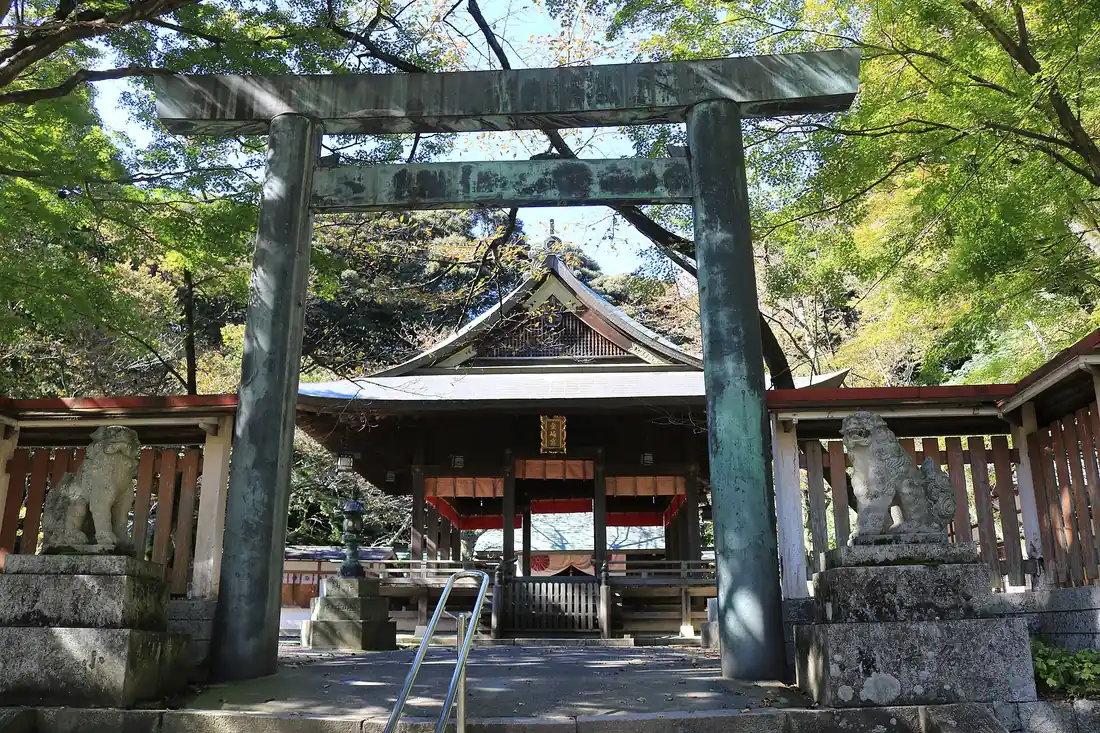 Kanegasaki-gu