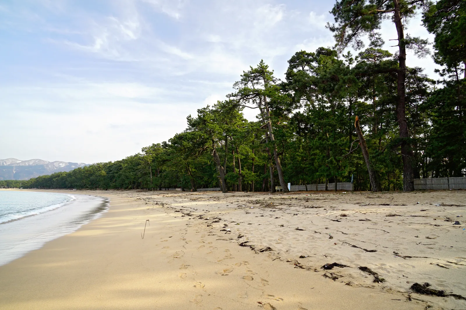 Kehi no Matsubara