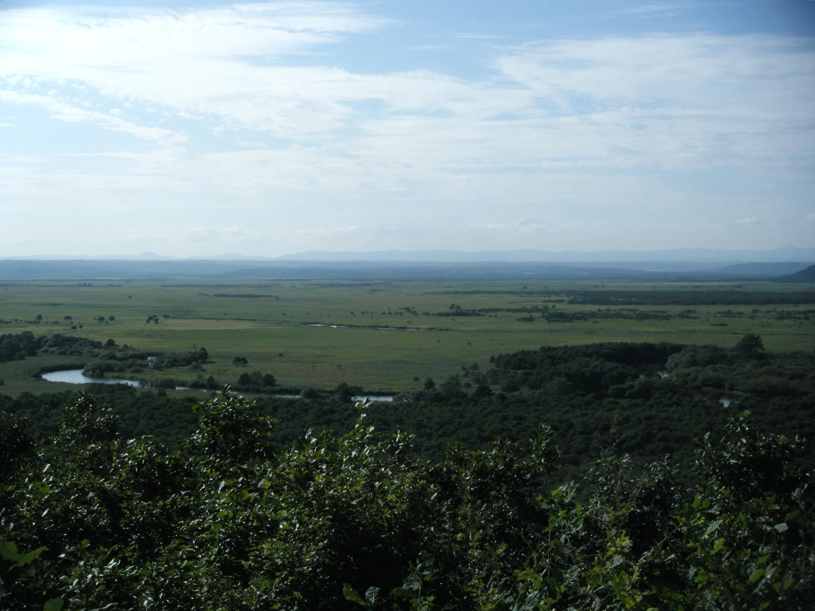 Kushiro Marsh