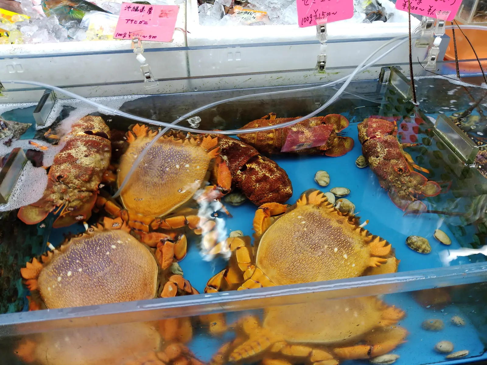 Makishi Public Market