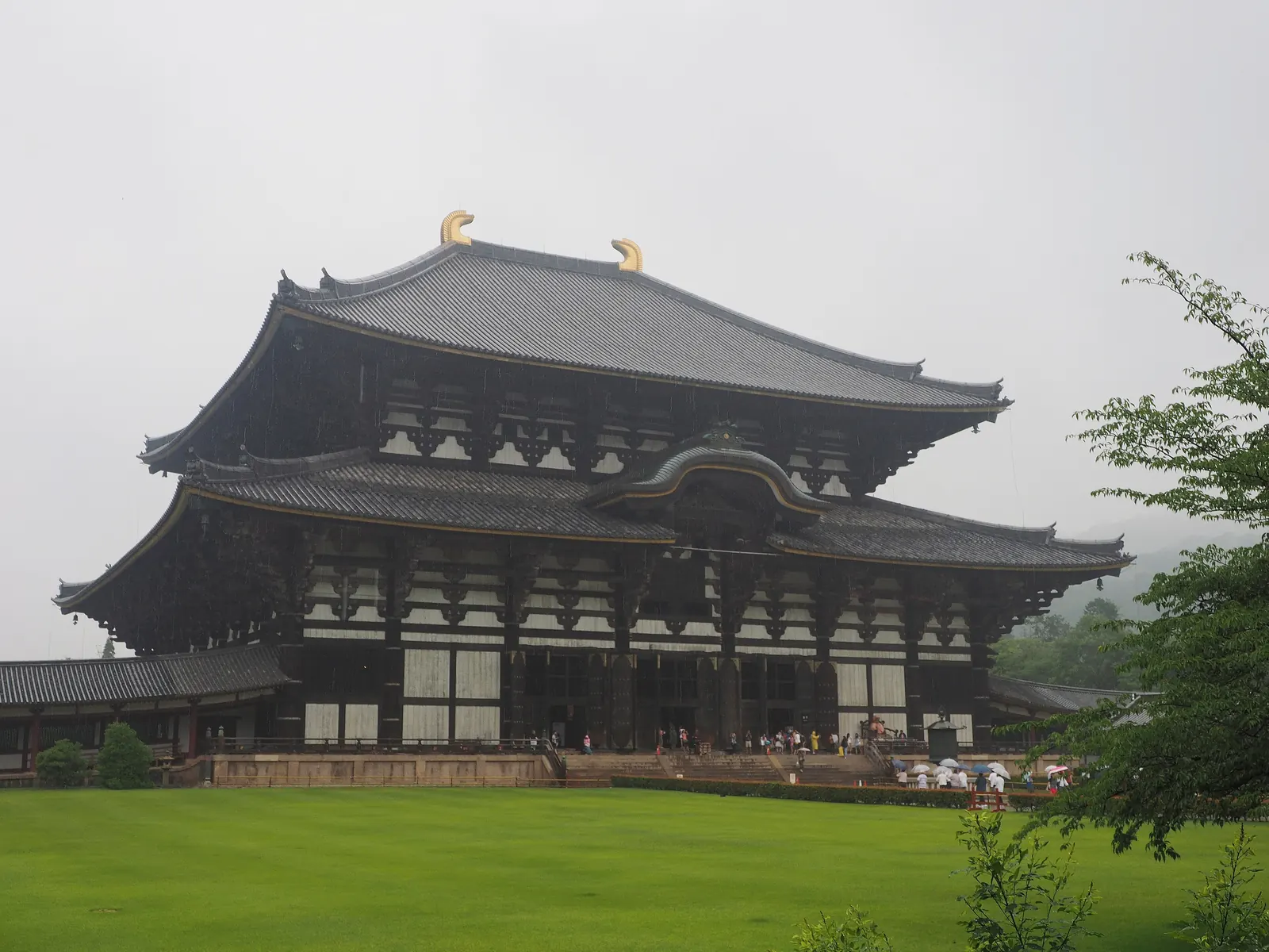 Nara and the deer