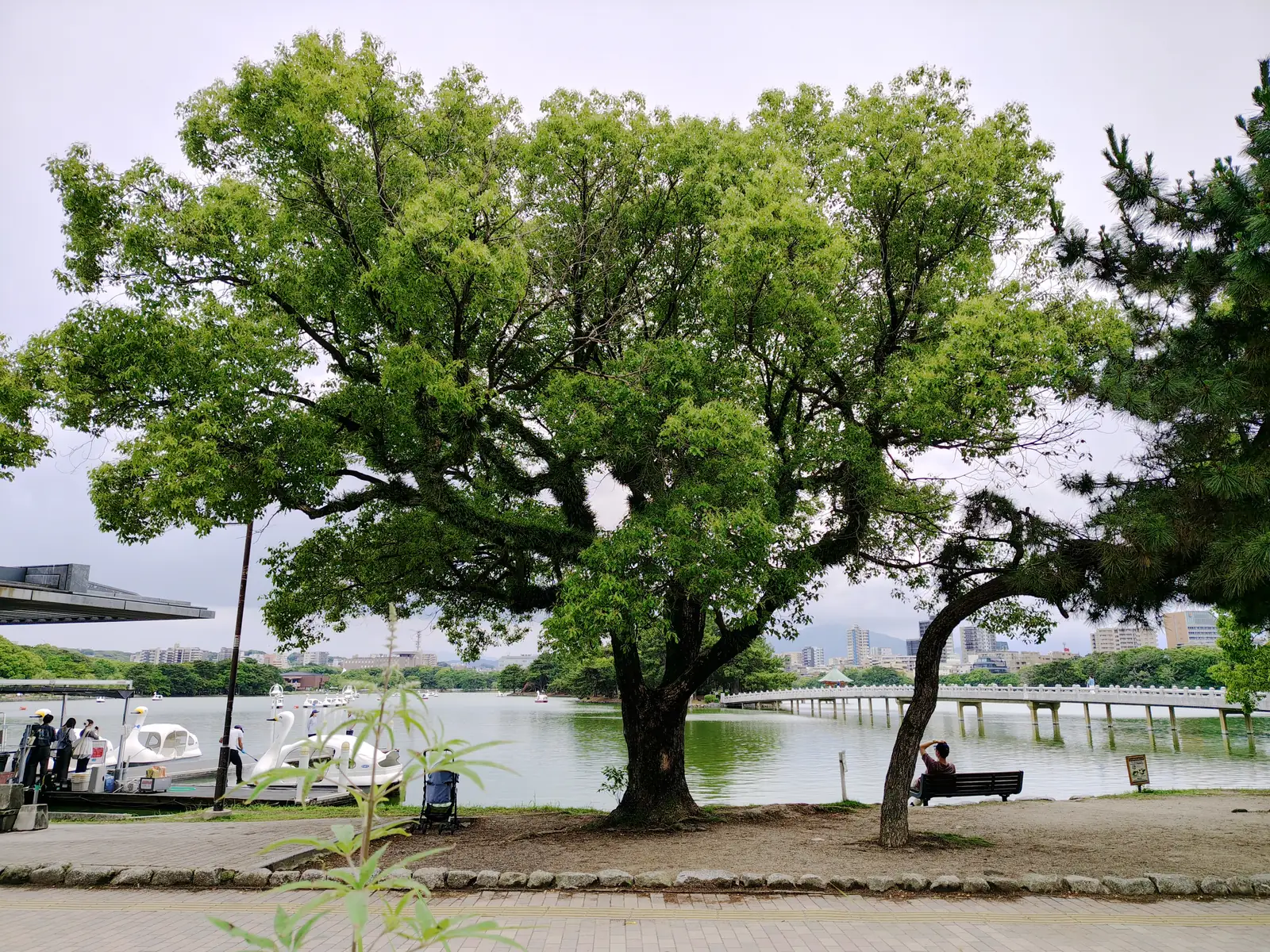Ohori Park and the castle ruins