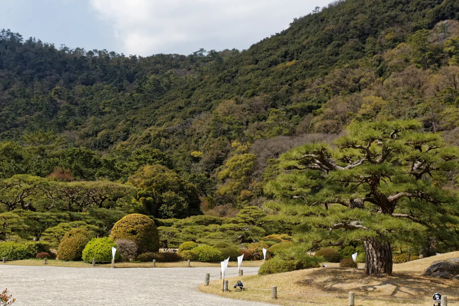 Ritsurin