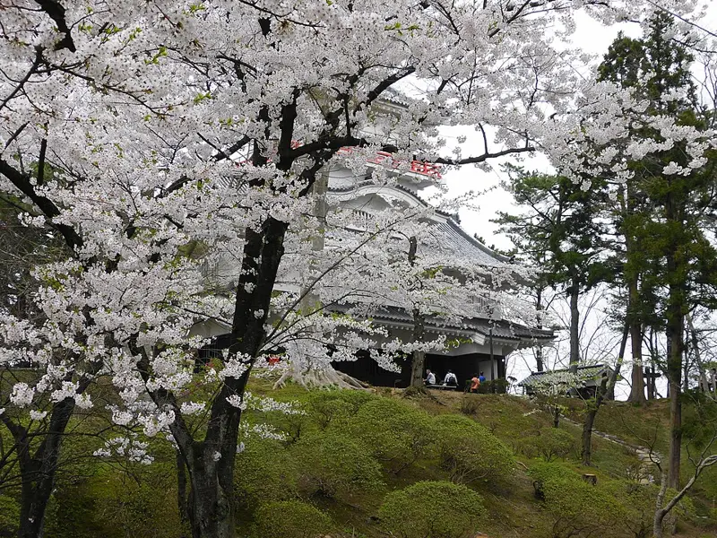Senshu Park