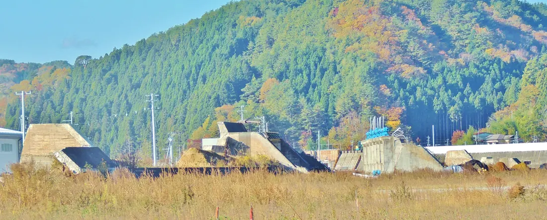 Taro seawalls