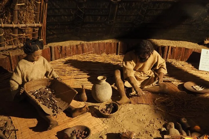 Estimated life of Jomon people