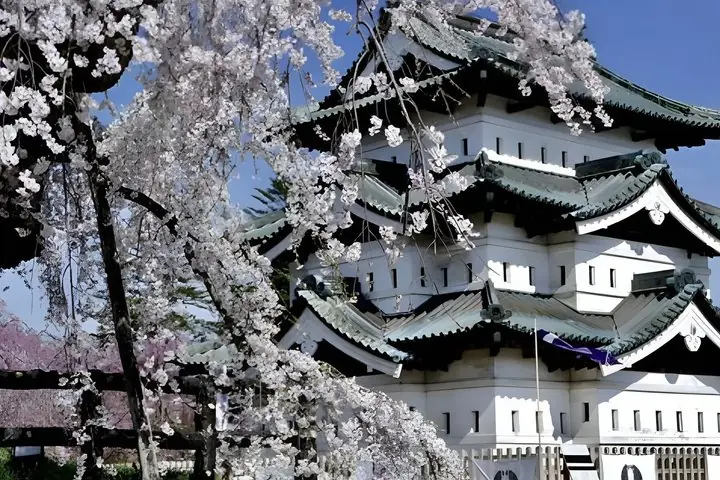 Aomori: Private Custom Tour with Local Guide — operator photo 4