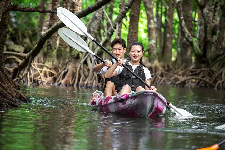 Okinawa Ishigaki Mangrove SUP or Canoe Tour — operator photo 9