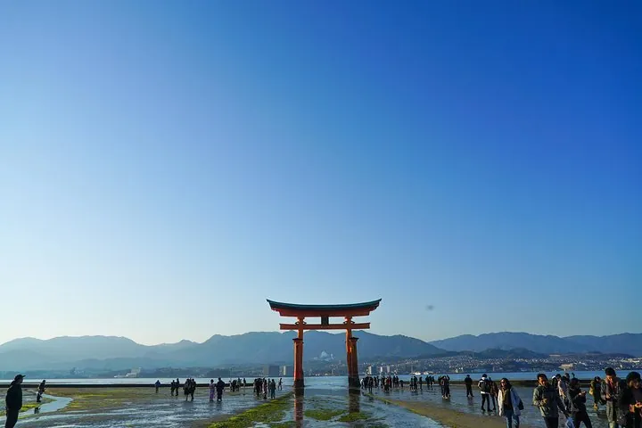 Miyajima Half-day Trip Historical Walking Tour — operator photo 4