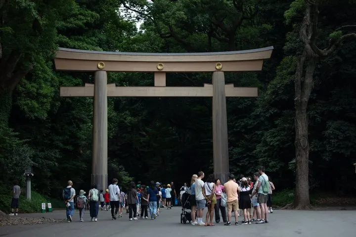 Harajuku Meiji Shrine Walking Tour in Tokyo