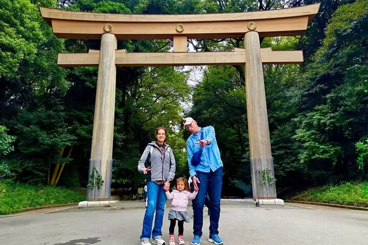 Tokyo in one day, privately guided — photo from the operator