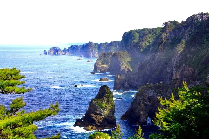 Miyako Iwate Private Shore Excursion Coastal Wonders and Caves — operator photo 10