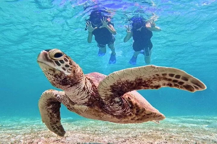 Okinawa Miyako Half Day Sea Turtle Snorkel with Free Photos — operator photo 6