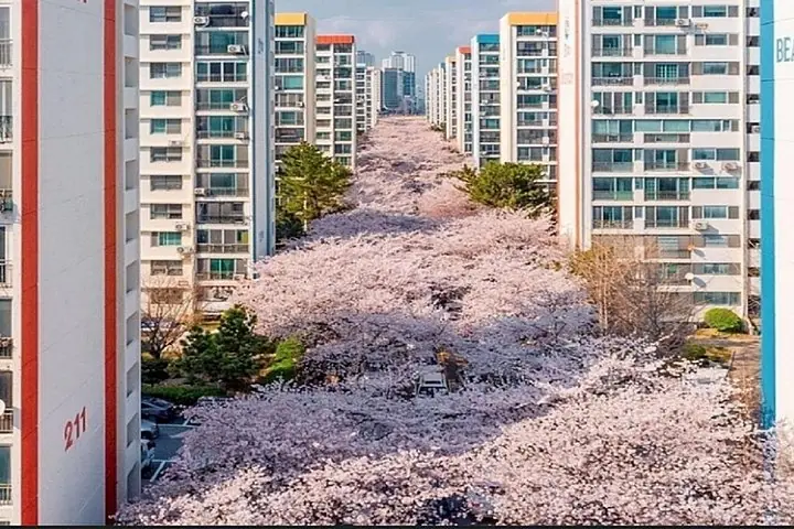 Private Busan Tour - Explore Landmarks with a Licensed Guide — operator photo 11