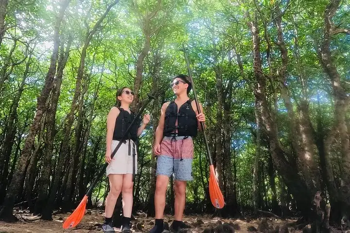Okinawa Ishigaki Mangrove SUP or Canoe Tour — operator photo 3