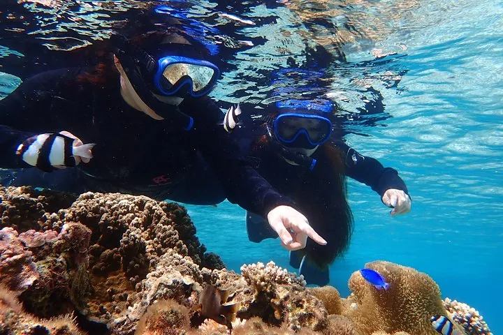 Okinawa Miyako Full Day Sea Turtle Snorkel and SUP or Canoe — operator photo 8