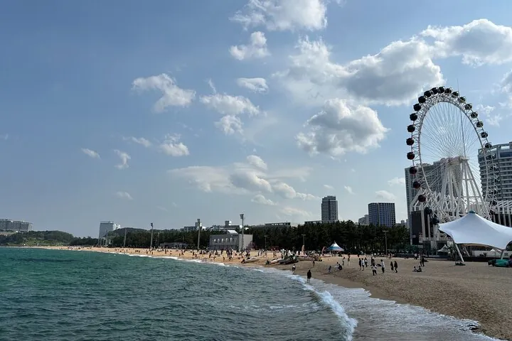 Sokcho Gourmet Tour — operator photo 6