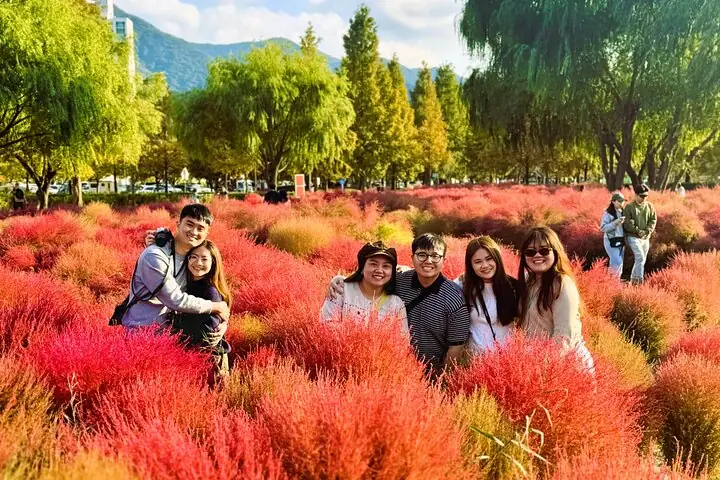 Busan Private Tour with Licensed Local guide — operator photo 11