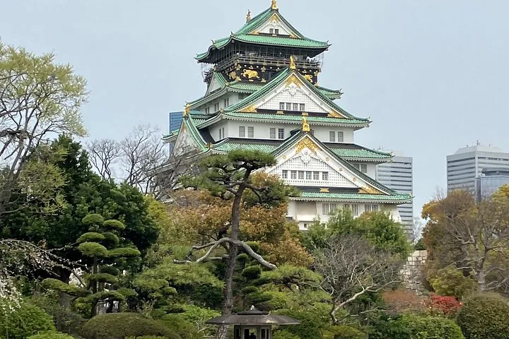 Private Osaka Tour from Your Hotel with Local Guide — operator photo 2