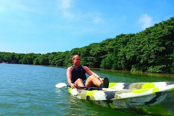 Okinawa Ishigaki Mangrove SUP or Canoe Tour — operator photo 8