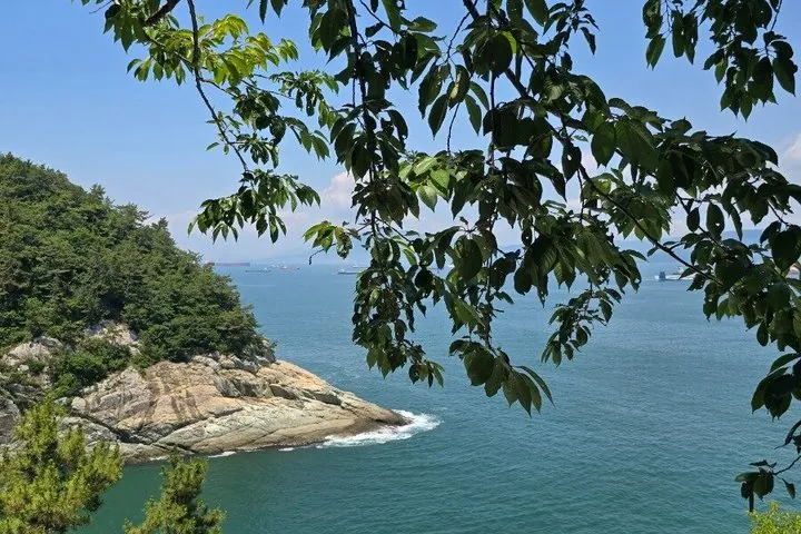 Yeosu Coastal Highlights & Cable Car Day Tour (Seoul to Busan) — operator photo 7
