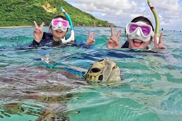 Okinawa Miyako Half Day Sea Turtle Snorkel with Free Photos — operator photo 8